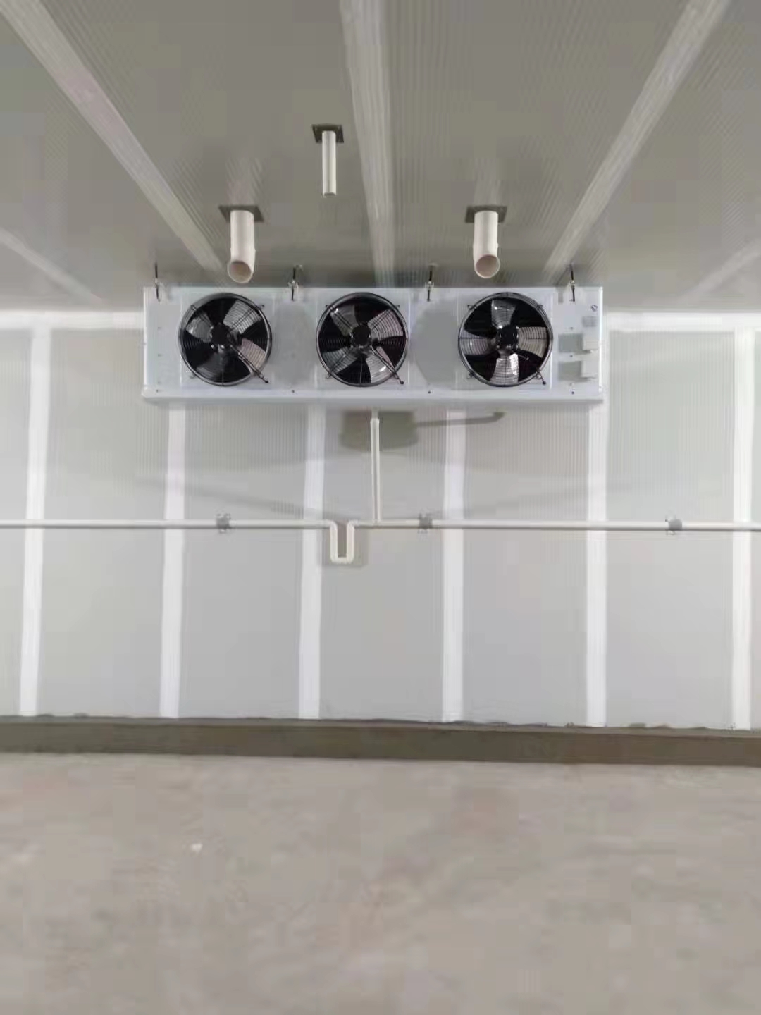 1708740337392290.jpg 71e5e7db9f825ecab2e6433503b0815.jpg